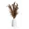 2.5ft. Dried Natural Pampas Arrangement in Ceramic Vase
